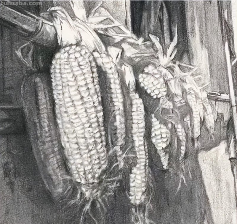 设计素描该怎么画？