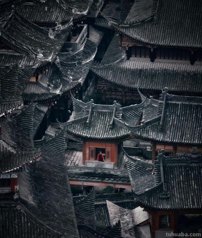 善用“色彩对比”,照片会更有吸引力 善用“色彩对比”,照片会更有吸引力