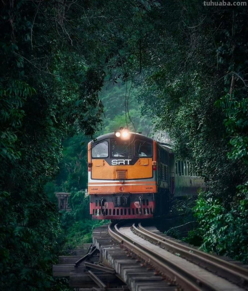 善用“色彩对比”,照片会更有吸引力 善用“色彩对比”,照片会更有吸引力