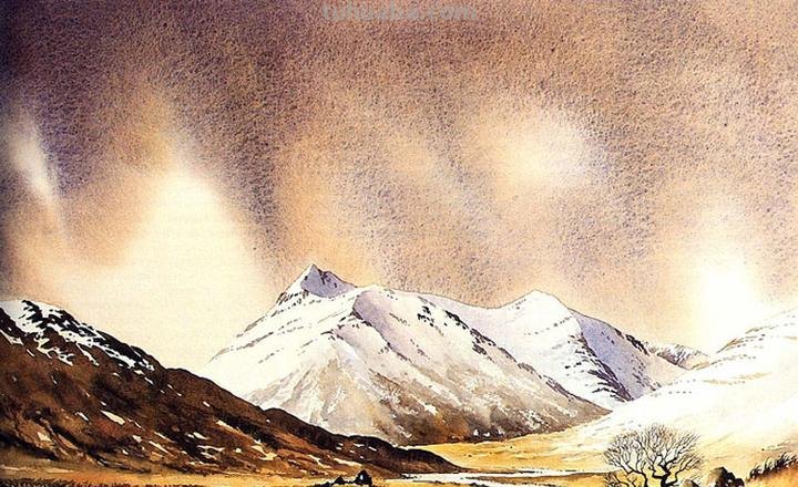 DAVID BELLAMY自然风景水彩画作品