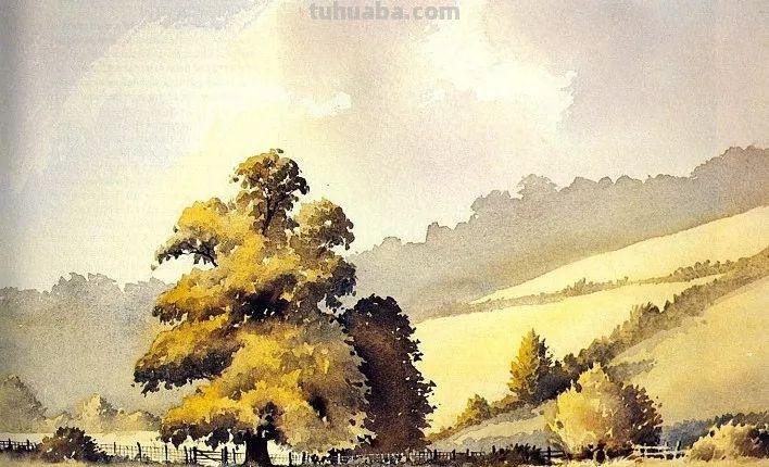 DAVID BELLAMY自然风景水彩画作品