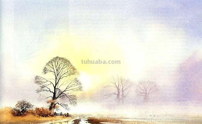 DAVID BELLAMY自然风景水彩画作品