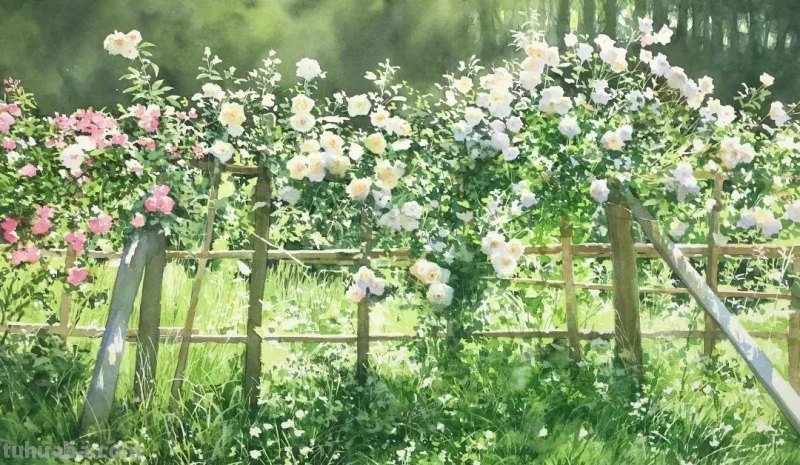夏天的色彩 - 日本画家Abe Toshiyuki风景水彩画专辑