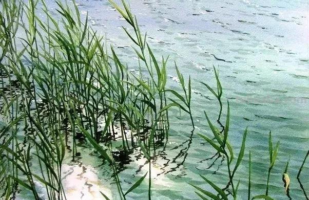 夏天的色彩 - 日本画家Abe Toshiyuki风景水彩画专辑