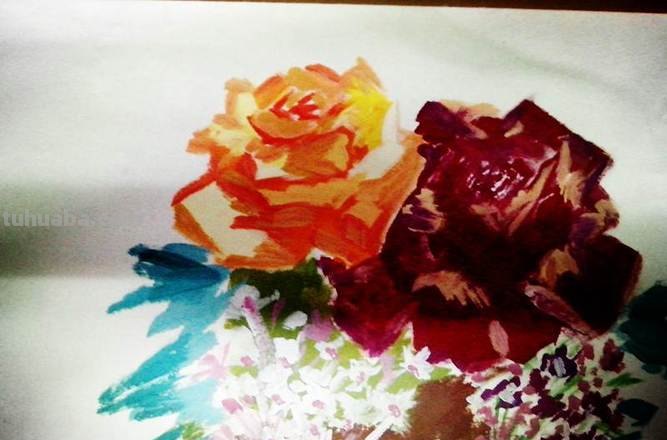 玫瑰色彩及玫瑰色彩画——探索浪漫与美丽的艺术世界 