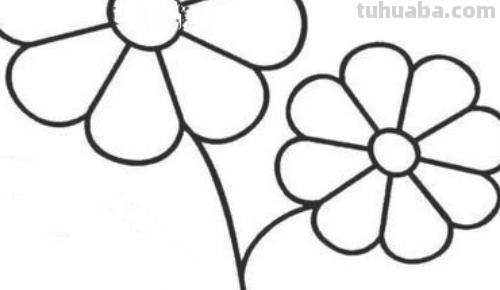 小花怎么画简笔画 怎样画出简易小花？