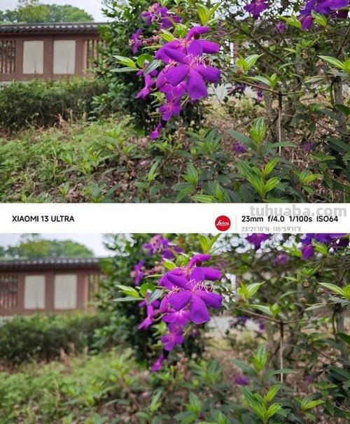 手机拍照色彩不鲜艳怎么办？教你几招让照片变得更美！ 