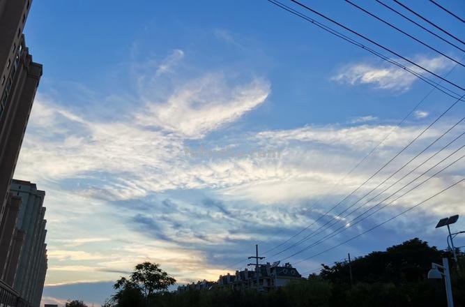 手机拍照色彩不鲜艳怎么办？教你几招让照片变得更美！ 