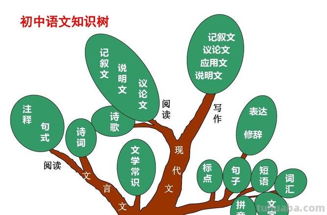 思维导图怎么画树状 如何画知识树?