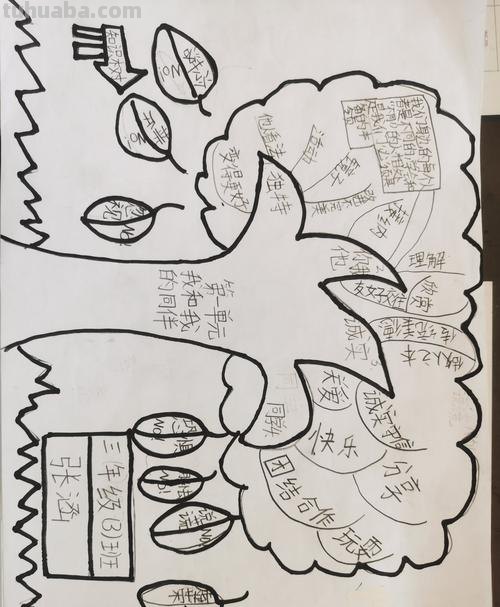 思维导图怎么画树状 如何画知识树？