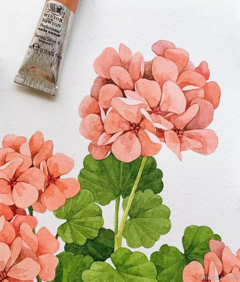 这些画水彩作品治愈了2000万网友，每一幅画浪漫精致