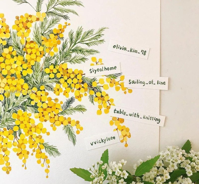 这些画水彩作品治愈了2000万网友，每一幅画浪漫精致