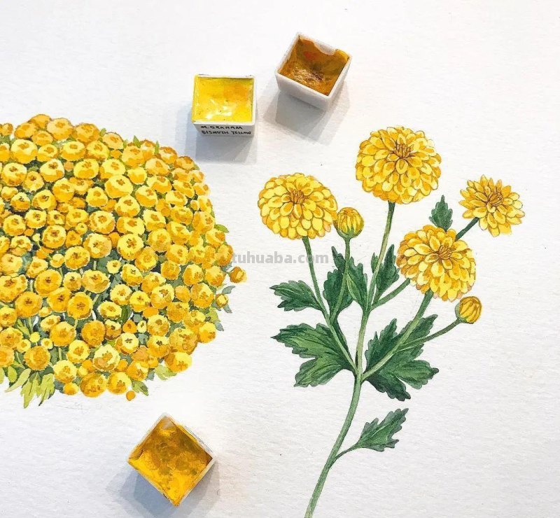 这些画水彩作品治愈了2000万网友，每一幅画浪漫精致