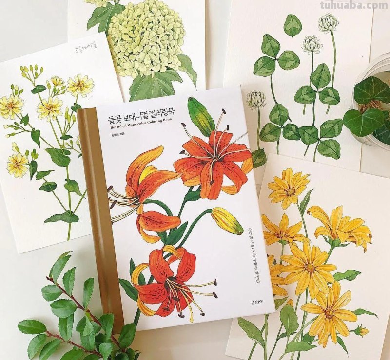 这些画水彩作品治愈了2000万网友，每一幅画浪漫精致