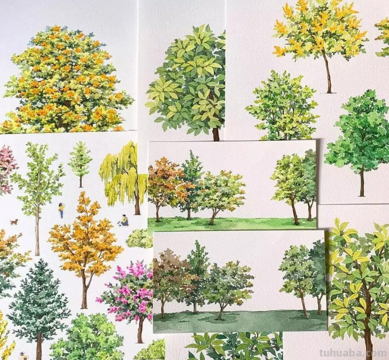 这些画水彩作品治愈了2000万网友，每一幅画浪漫精致