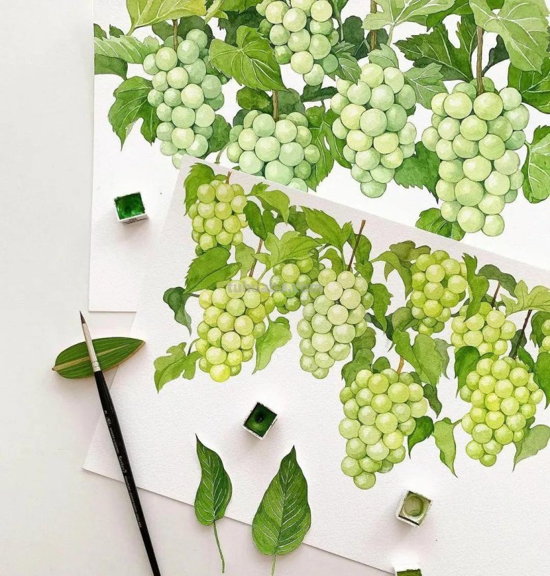 这些画水彩作品治愈了2000万网友，每一幅画浪漫精致