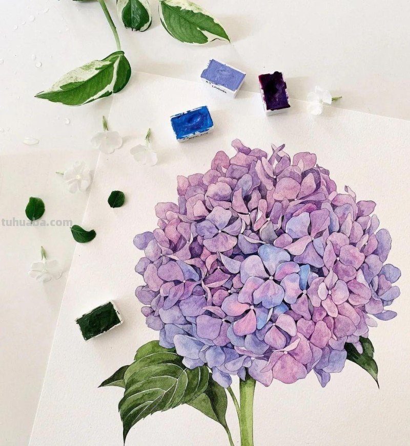 这些画水彩作品治愈了2000万网友，每一幅画浪漫精致