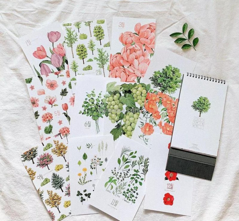 这些画水彩作品治愈了2000万网友，每一幅画浪漫精致