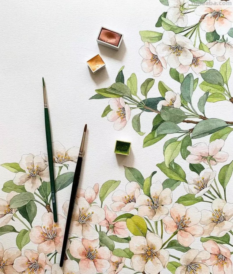 这些画水彩作品治愈了2000万网友，每一幅画浪漫精致