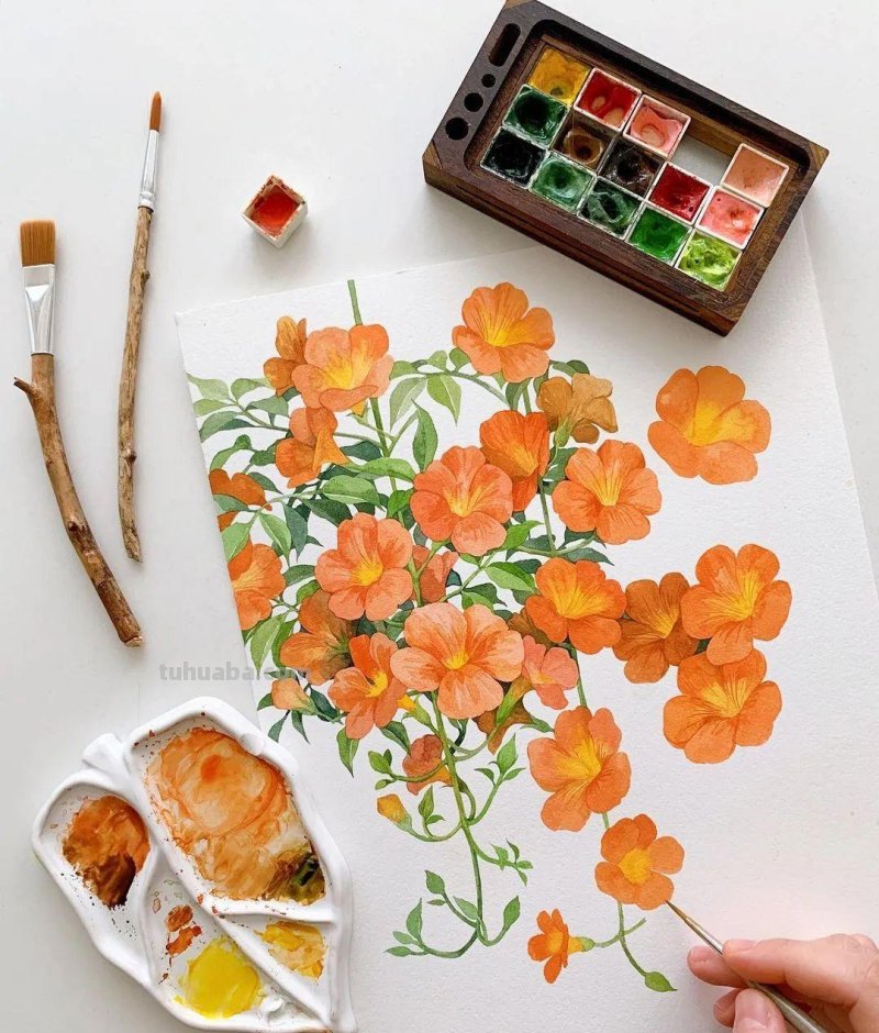 这些画水彩作品治愈了2000万网友，每一幅画浪漫精致