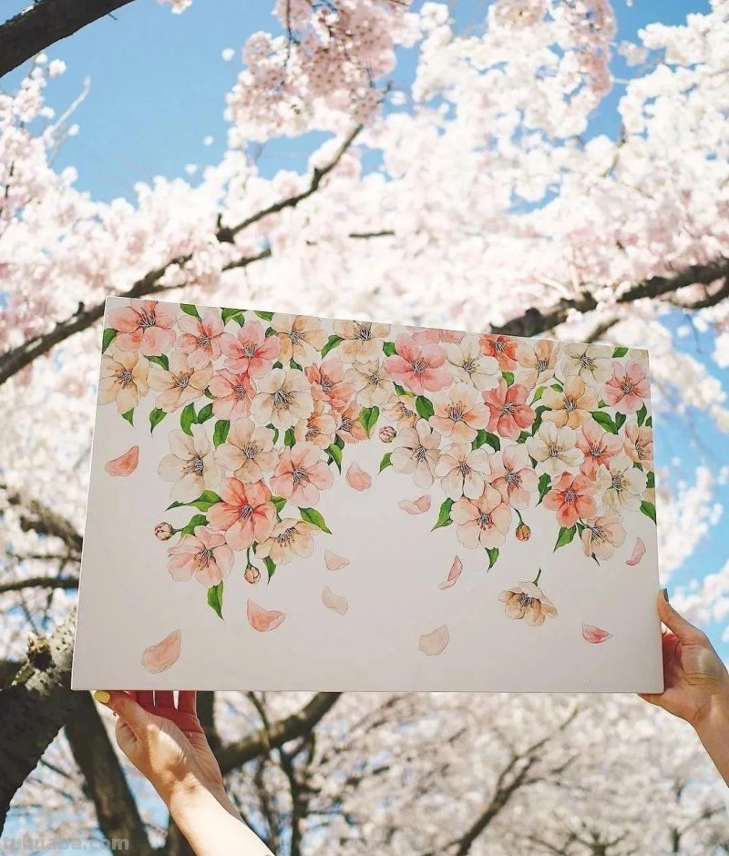 这些画水彩作品治愈了2000万网友，每一幅画浪漫精致