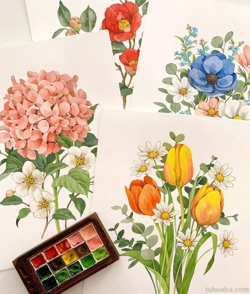 这些画水彩作品治愈了2000万网友，每一幅画浪漫精致