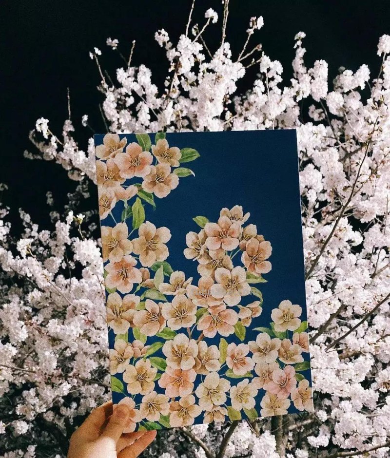 这些画水彩作品治愈了2000万网友，每一幅画浪漫精致