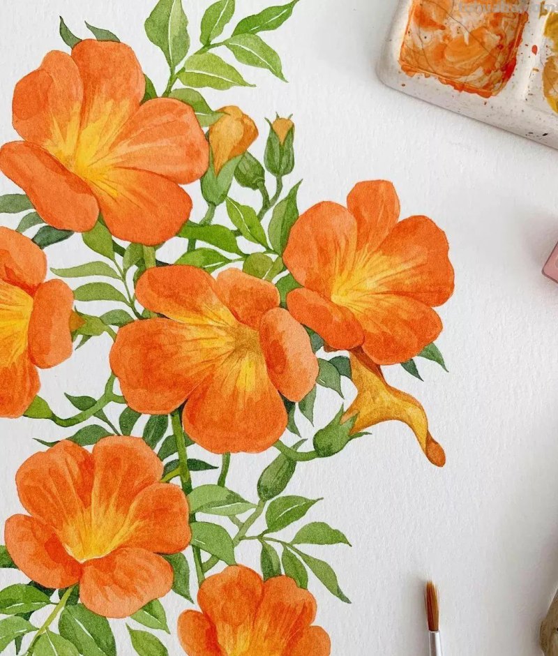 这些画水彩作品治愈了2000万网友，每一幅画浪漫精致