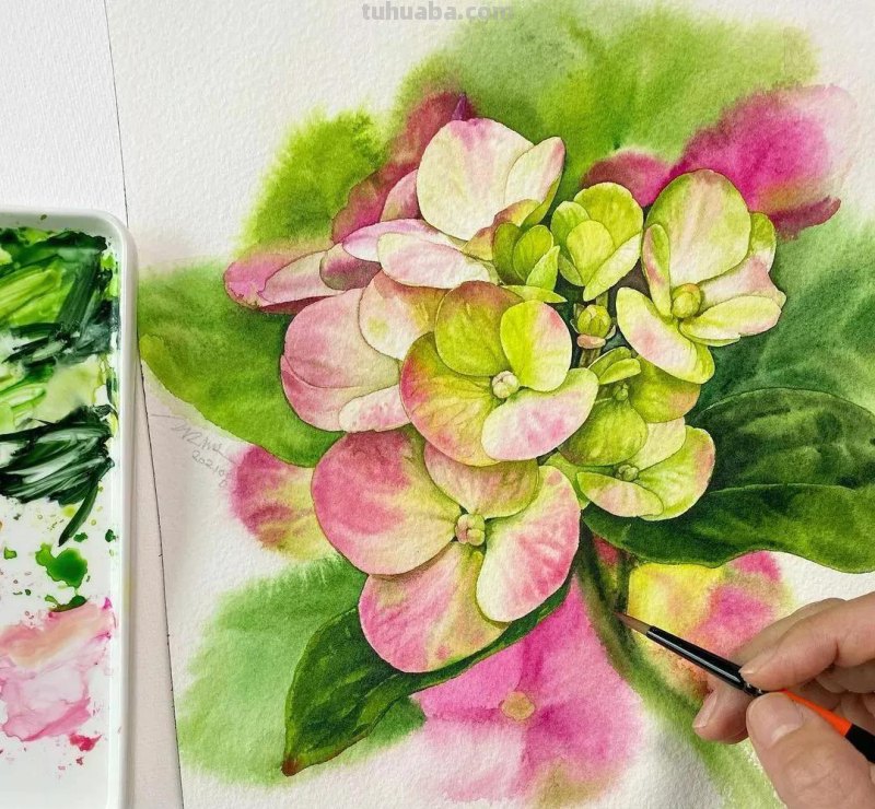 这57张水彩作品超级赞，想学水彩的你赶紧来收藏啊，一起来欣赏呀