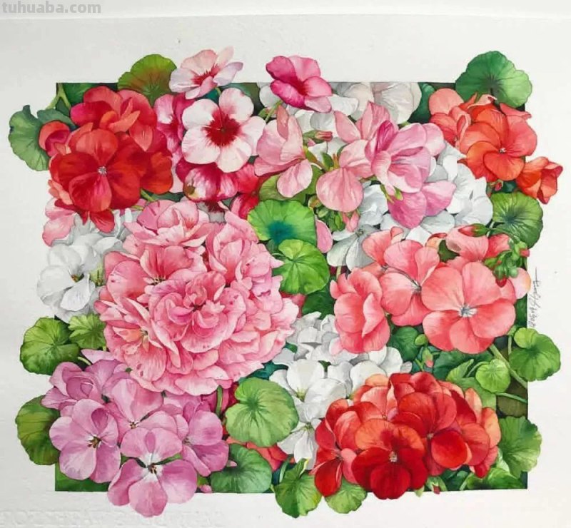 这57张水彩作品超级赞，想学水彩的你赶紧来收藏啊，一起来欣赏呀