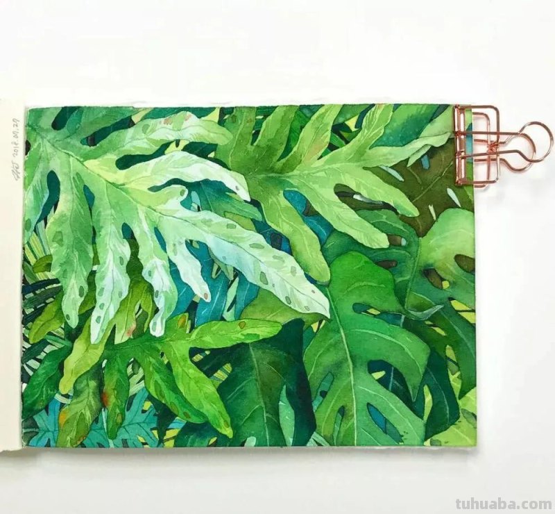 这57张水彩作品超级赞，想学水彩的你赶紧来收藏啊，一起来欣赏呀