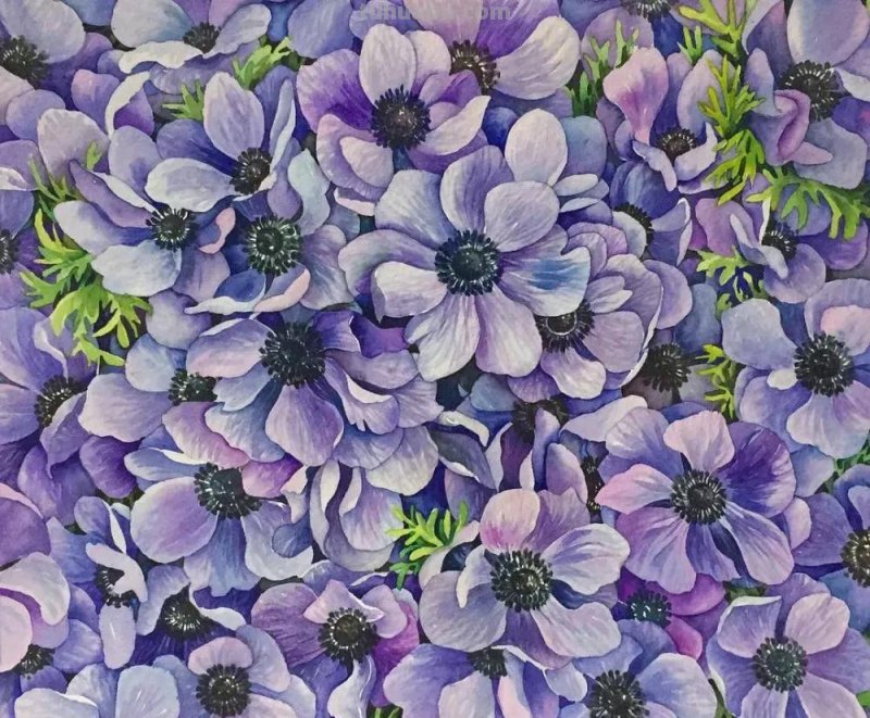 这57张水彩作品超级赞，想学水彩的你赶紧来收藏啊，一起来欣赏呀