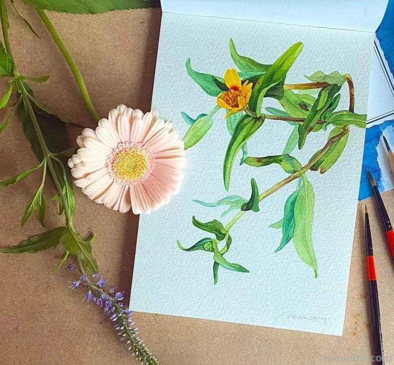 这57张水彩作品超级赞，想学水彩的你赶紧来收藏啊，一起来欣赏呀