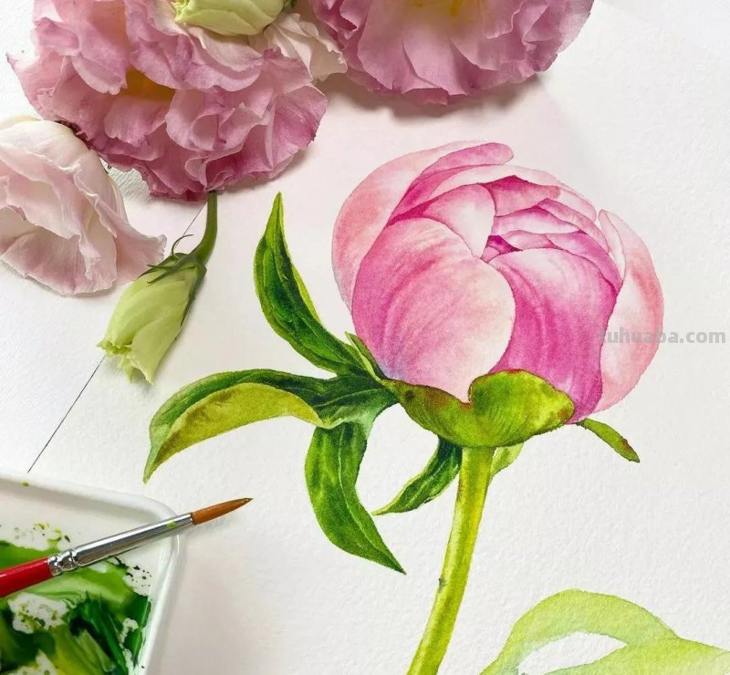 这57张水彩作品超级赞，想学水彩的你赶紧来收藏啊，一起来欣赏呀