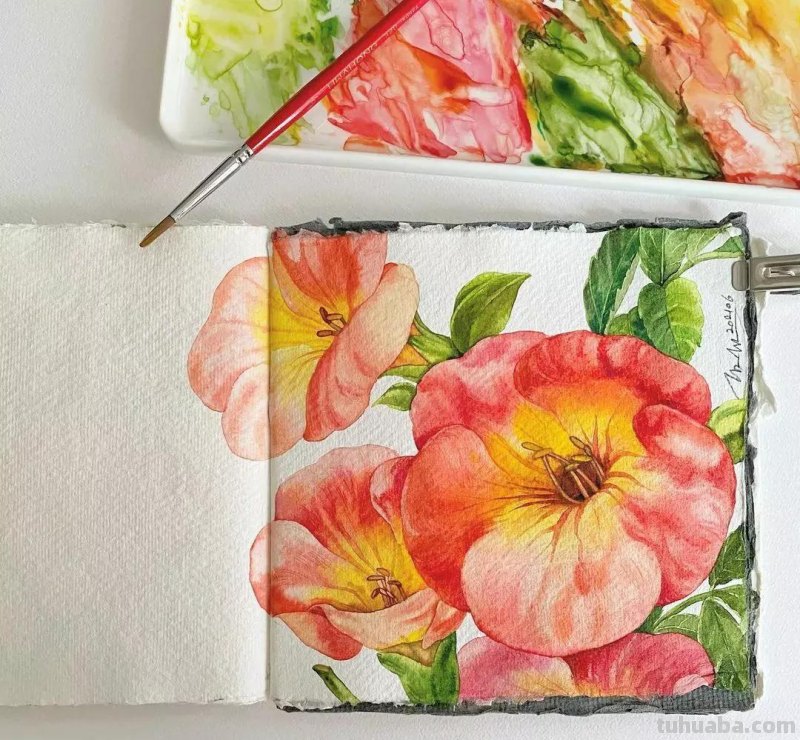 这57张水彩作品超级赞，想学水彩的你赶紧来收藏啊，一起来欣赏呀