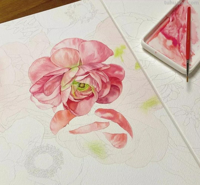 这57张水彩作品超级赞，想学水彩的你赶紧来收藏啊，一起来欣赏呀