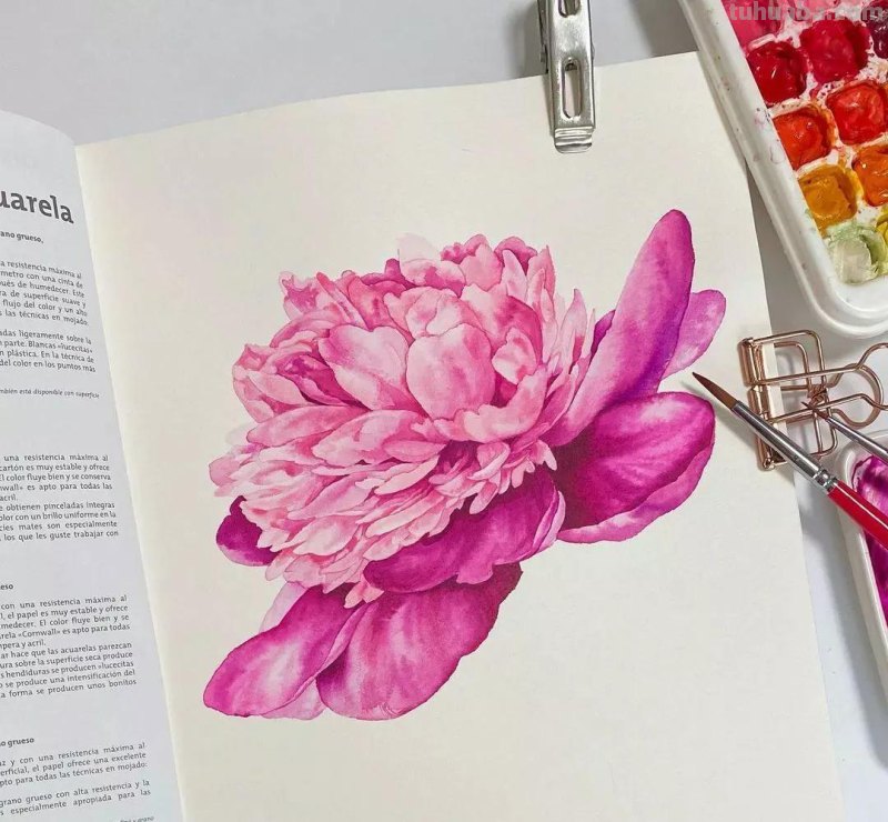 这57张水彩作品超级赞，想学水彩的你赶紧来收藏啊，一起来欣赏呀