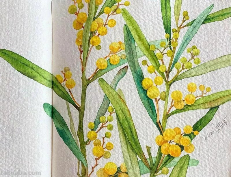 这57张水彩作品超级赞，想学水彩的你赶紧来收藏啊，一起来欣赏呀