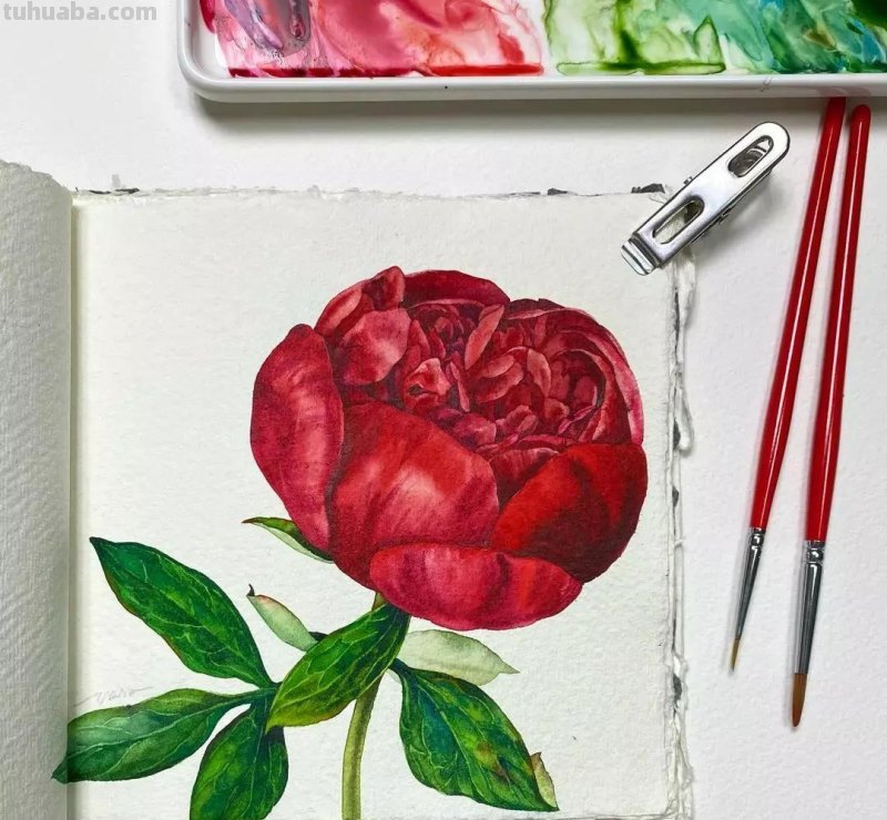 这57张水彩作品超级赞，想学水彩的你赶紧来收藏啊，一起来欣赏呀