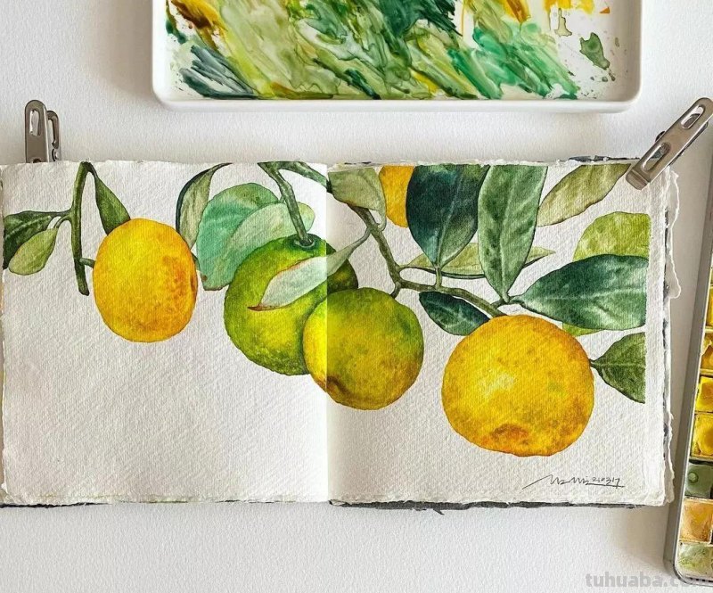 这57张水彩作品超级赞，想学水彩的你赶紧来收藏啊，一起来欣赏呀