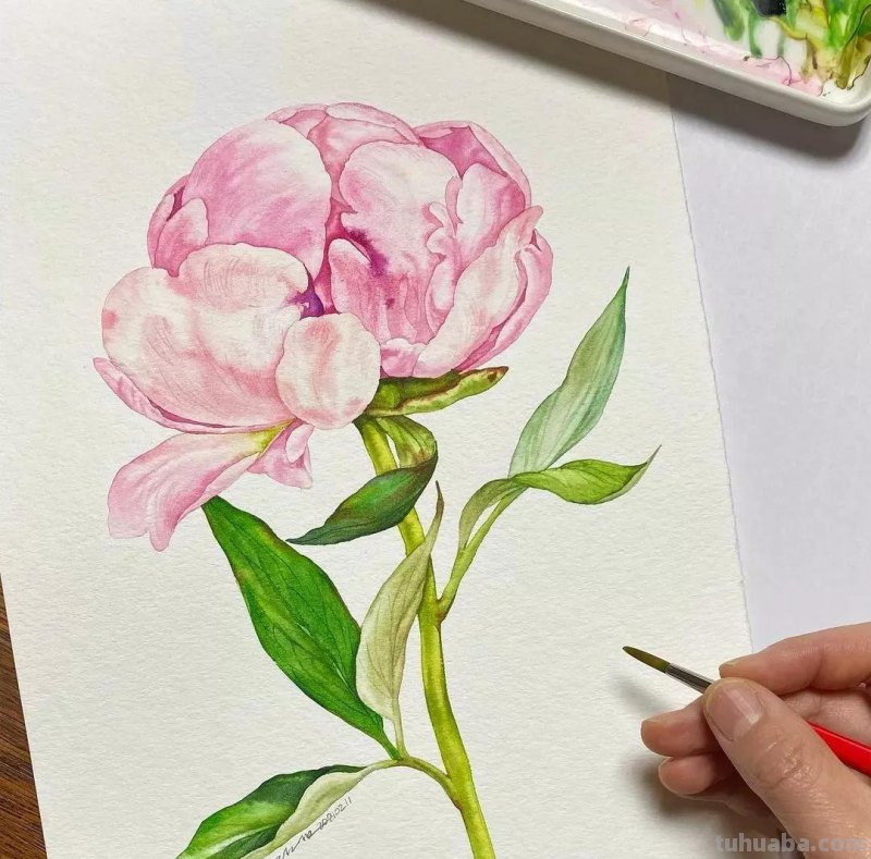 这57张水彩作品超级赞，想学水彩的你赶紧来收藏啊，一起来欣赏呀