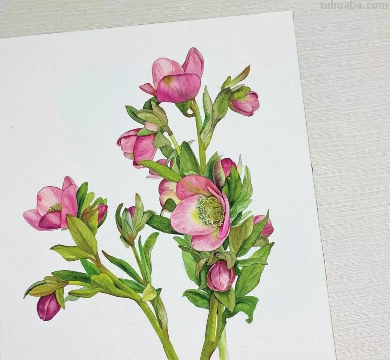 这57张水彩作品超级赞，想学水彩的你赶紧来收藏啊，一起来欣赏呀