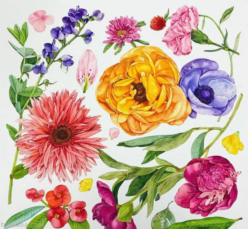 这57张水彩作品超级赞，想学水彩的你赶紧来收藏啊，一起来欣赏呀