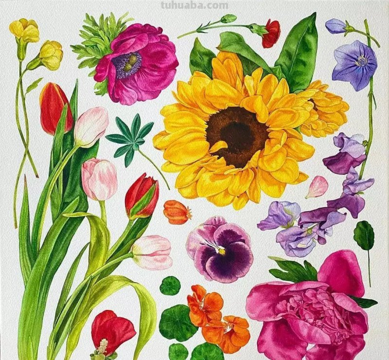 这57张水彩作品超级赞，想学水彩的你赶紧来收藏啊，一起来欣赏呀