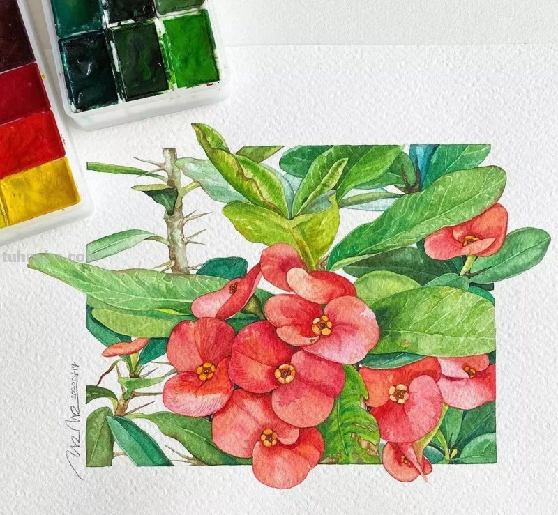 这57张水彩作品超级赞，想学水彩的你赶紧来收藏啊，一起来欣赏呀