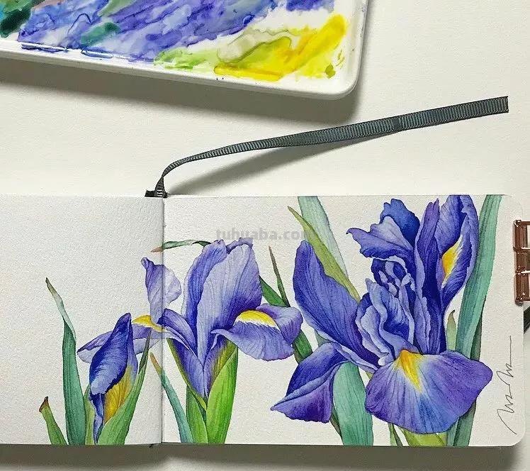 这57张水彩作品超级赞，想学水彩的你赶紧来收藏啊，一起来欣赏呀