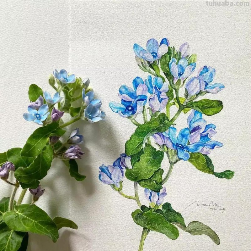 这57张水彩作品超级赞，想学水彩的你赶紧来收藏啊，一起来欣赏呀