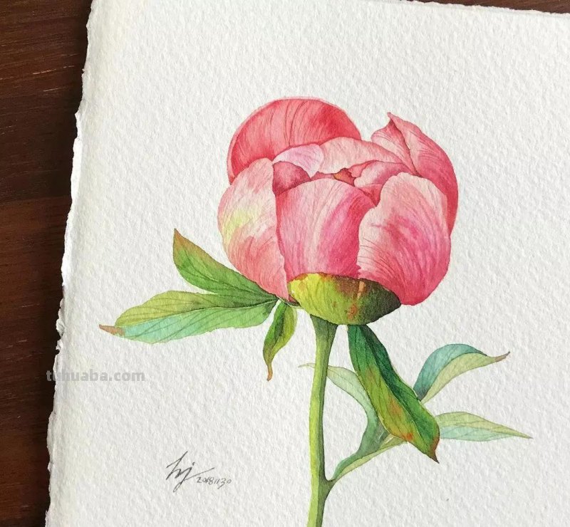 这57张水彩作品超级赞，想学水彩的你赶紧来收藏啊，一起来欣赏呀