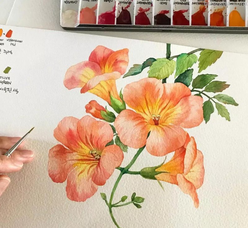 这57张水彩作品超级赞，想学水彩的你赶紧来收藏啊，一起来欣赏呀