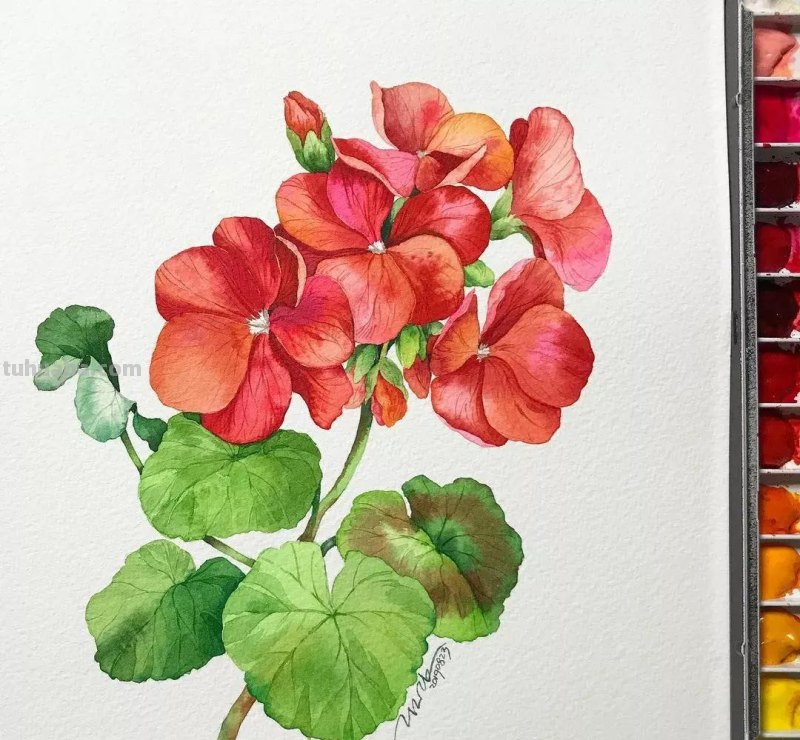 这57张水彩作品超级赞，想学水彩的你赶紧来收藏啊，一起来欣赏呀